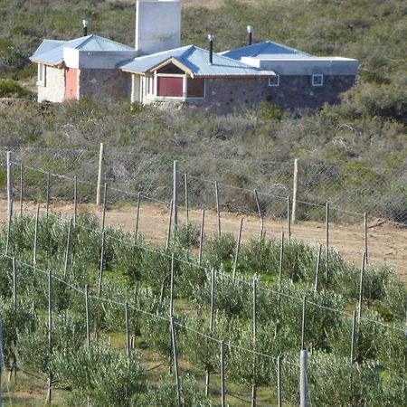 La Calandria Casa De Campo Villa Puerto Madryn Kültér fotó