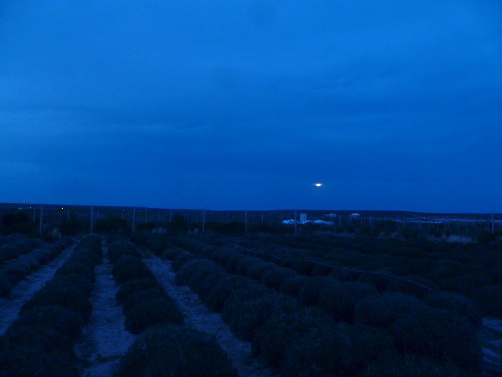 La Calandria Casa De Campo Villa Puerto Madryn Kültér fotó