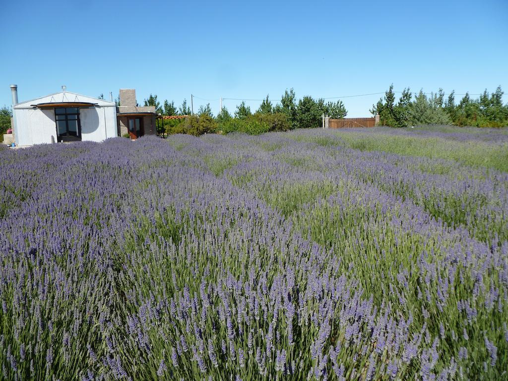 La Calandria Casa De Campo Villa Puerto Madryn Kültér fotó