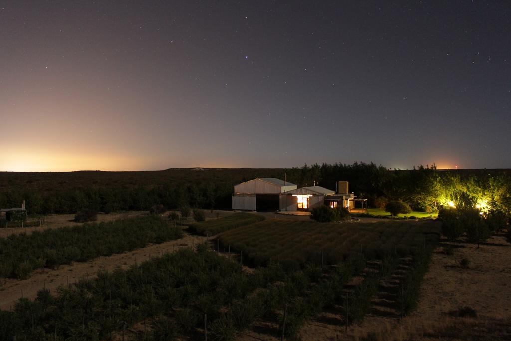 La Calandria Casa De Campo Villa Puerto Madryn Kültér fotó