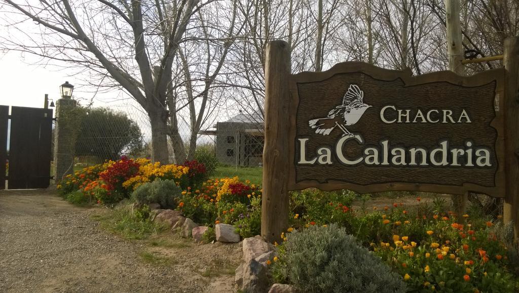 La Calandria Casa De Campo Villa Puerto Madryn Kültér fotó