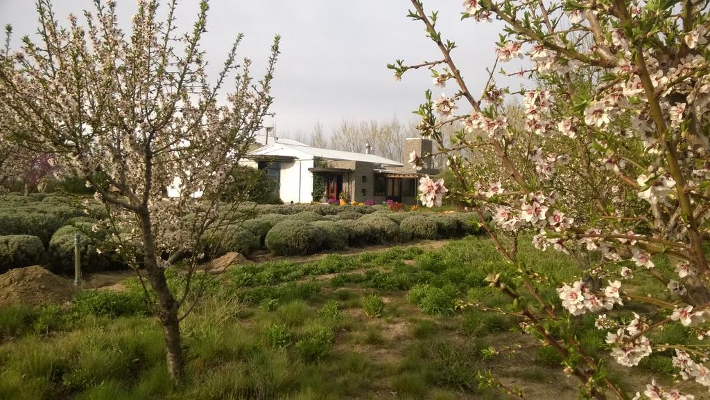 La Calandria Casa De Campo Villa Puerto Madryn Kültér fotó
