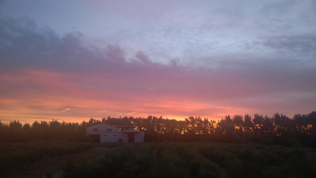 La Calandria Casa De Campo Villa Puerto Madryn Kültér fotó